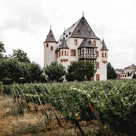 Schloss Schoenborn Geisenheim Zewnętrze zdjęcie