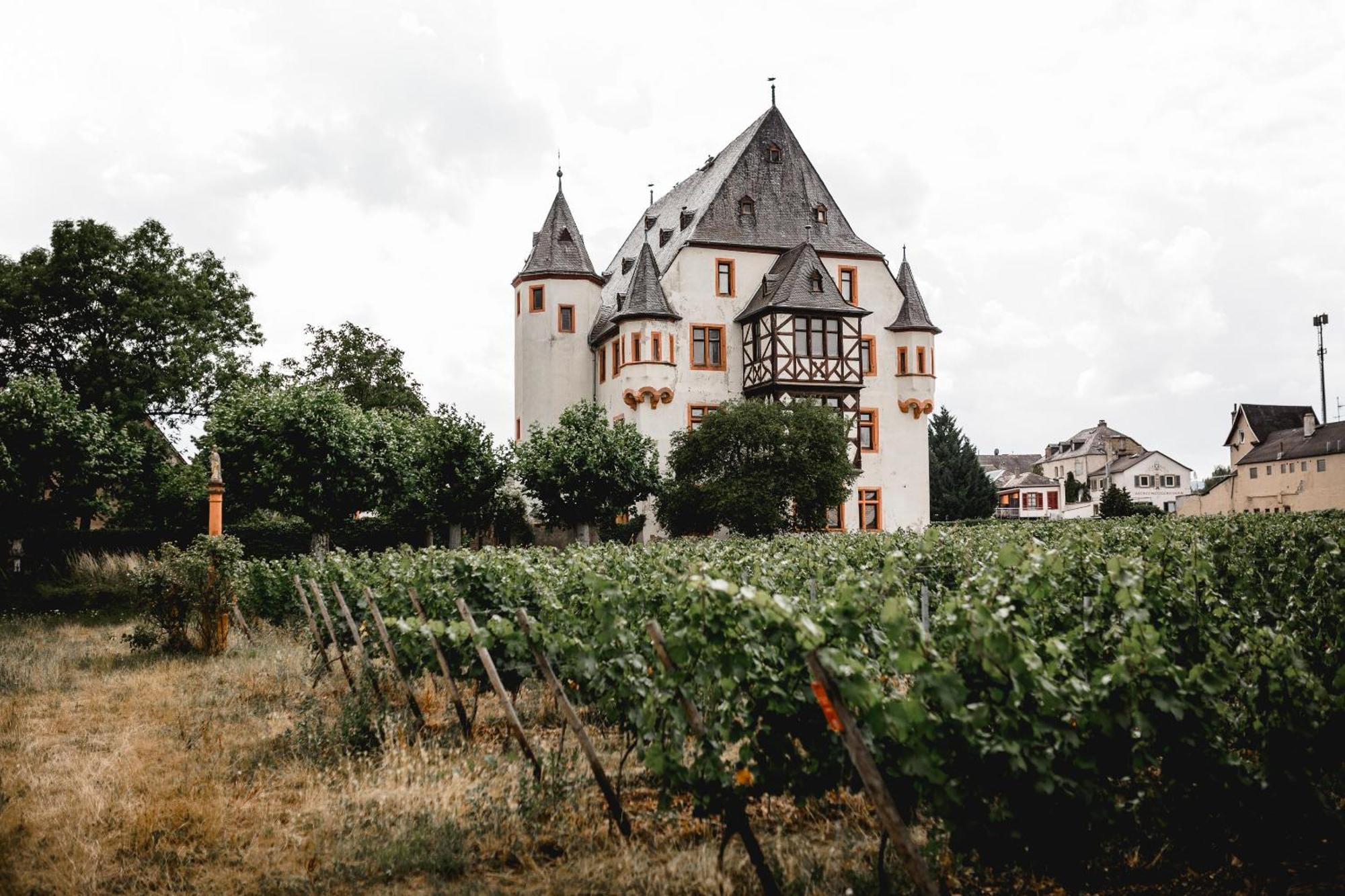 Schloss Schoenborn Geisenheim Zewnętrze zdjęcie