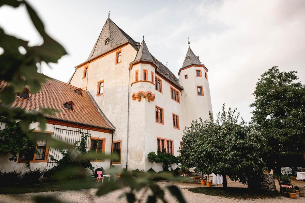 Schloss Schoenborn Geisenheim Zewnętrze zdjęcie