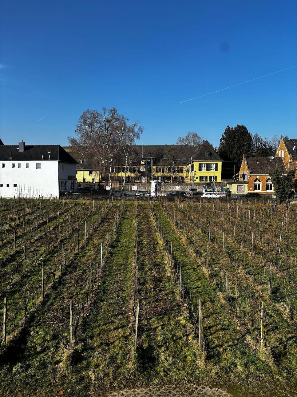 Schloss Schoenborn Geisenheim Zewnętrze zdjęcie