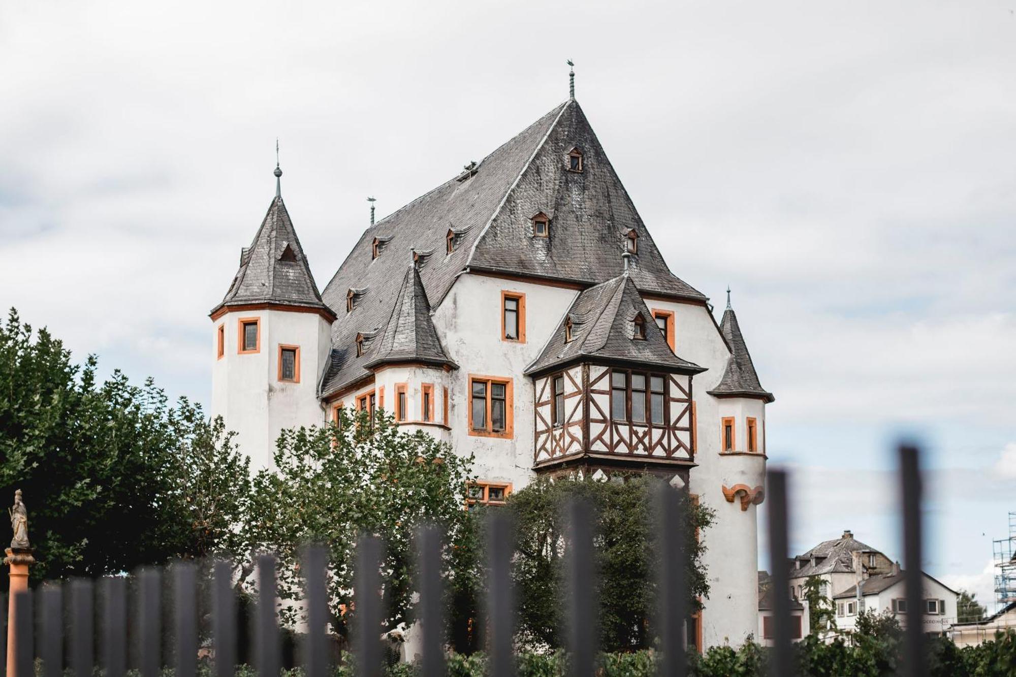 Schloss Schoenborn Geisenheim Zewnętrze zdjęcie